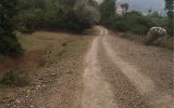 بدترین راه‌های روستایی استان کجاست؟/تلاش استاندار برای تحقق آرزوی مادر یک شهید
